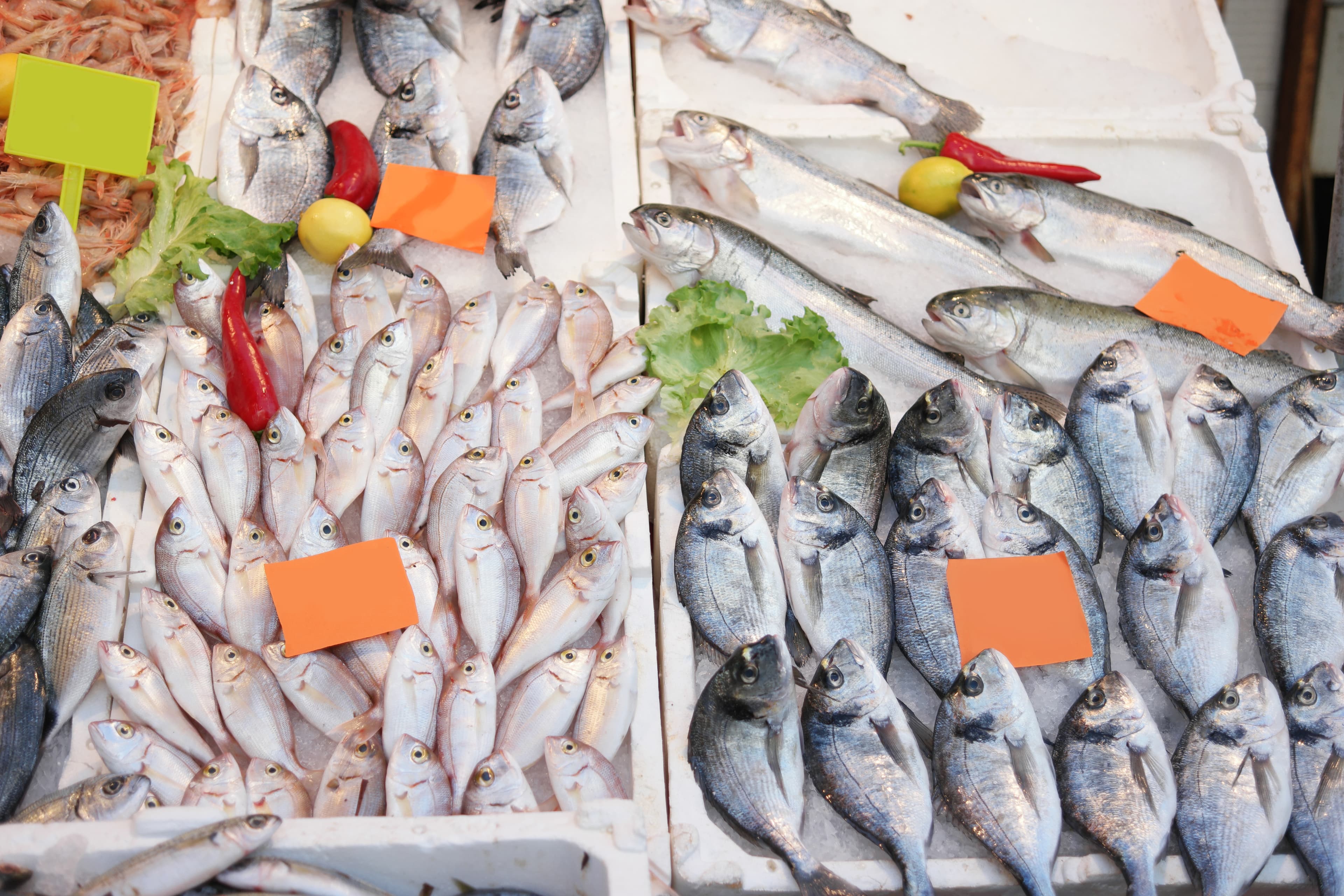 Fish market display